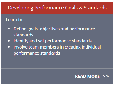 Developing Performance Goals and Standards